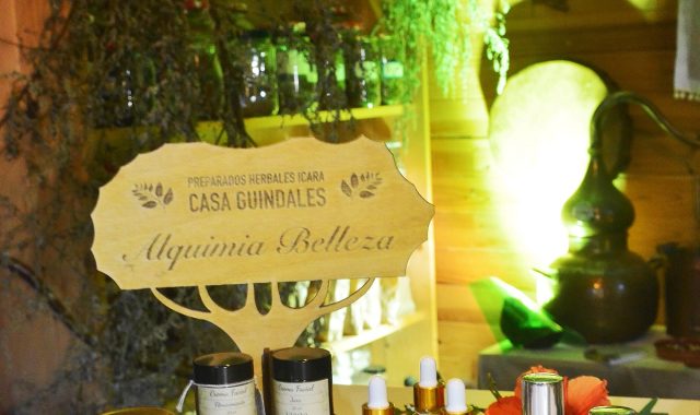 Taller online de Cosmética Natural con Plantas