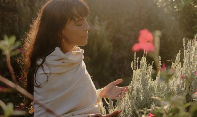 curso online de herbolaria y alquimia vegetal b